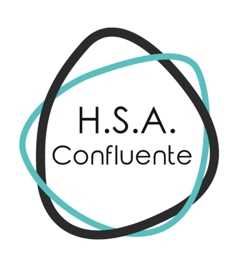 Honors Study Association Confluente